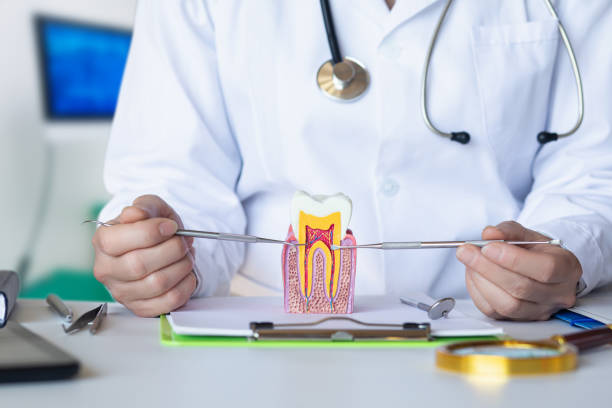 Best Urgent Tooth Repair  in Canutillo, TX
